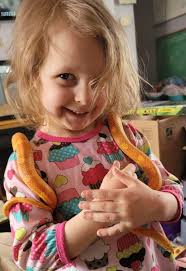 How to safely handle corn snakes and avoid salmonella?