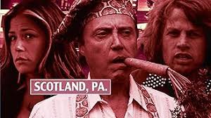 Timothy 'Speed' Levitch: Movies, TV, and Bio