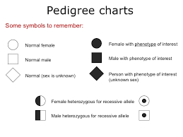 03 Pedigree Charts