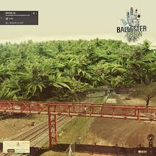 La violenta secuencia quedó registrada por una cámara de seguridad. Ballester Grow Startseite Facebook