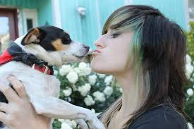 Has anyone seen this dog?? Posting for someone else. This is Benjamin  Harrison Keller. AKA Benny Moo Moo and his mom Kristen (me). Ben was taken  from the Louisville ,KY area in