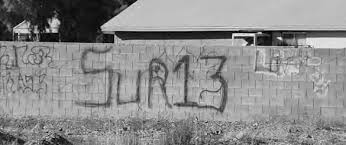 images?q=tbn:ANd9GcRYp1YvX7VjSUQjRoBbMCE