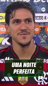 Flamengo brilha com golaço de Pedro contra Botafogo