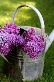April Flowers April Flowers Lilac Flowers Flower Arrangements