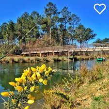 Einfach Mal Die Natur Geniessen Vielen Dank An Vin Cent 86 Fur Das Wunderschone Foto Centerparcs In 2020 Instagram Center Parcs