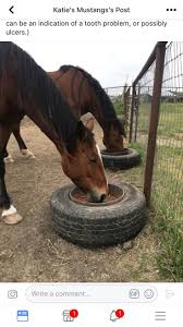 Ground Feed For Horses To Help Prevent Choke Horses Horse Farm Ideas Diy Horse Barn