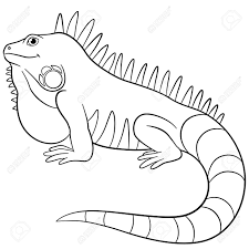 Learn about reptiles with this free printable reptiles coloring book. Coloring Pages Cute Iguana Sits And Smiles Royalty Free Cliparts Vectors And Stock Illustration Image 62894639