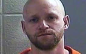 The News Journal Lily Archives