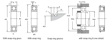 Single Row Deep Groove Ball Bearings With Snap Ring Snap