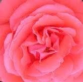 Veronica Rucker Obituary