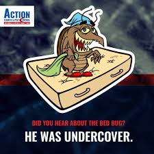 Bed bugs are troublesome household pests. How To Eliminate Bed Bugs And Prevent Re Infestation