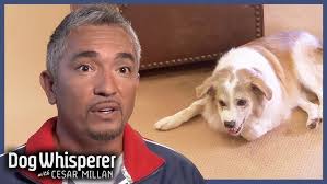 21C Hotel hosts CO2 tolerance training in honor of 'Last Breath' movie