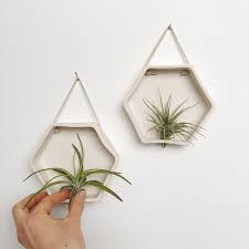 Porcelain Hexagon Air Plant Holder Wall Hanging Planter Air Plant Holder Plant Holders Clay Wall Hanging