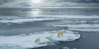 Entre 1970 y 2013, constituyeron el desastre natural más. Cambio Climatico Concepto Causas Efectos Y Consecuencias