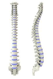 Spinalkanalstenose Symptome Therapie Der Spinalkanalverengung