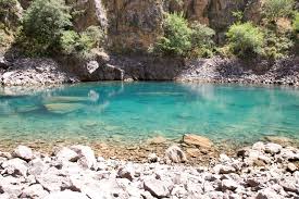 The nature reserve zones of the country are rich in fauna and flora. Nature Of Uzbekistan Steemit