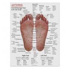 Mini Foot And Hand Reflexology Chart Oil Use Guide