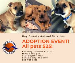 Maybe you would like to learn more about one of these? Petsmart Posts Facebook