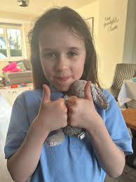 Since Carevide in Bonham closed last year, I've been trying to find out  where Lisa Britton is practicing now. She has always taken great care of me.