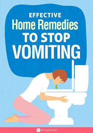 13 Effective Home Remedies To Stop Vomiting Imagine How Frustrating And Disgusting It Must Feel I Home Remedies For Vomiting Cold Home Remedies Home Remedies