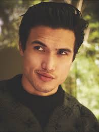 The Wolf The Raven and The Hawk