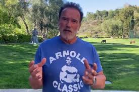 Each major bodypart is trained 2 times per week. Arnold Schwarzenegger Adia Seu Festival Anual De Fisiculturismo Por Medo Do Coronavirus Monet Celebridades