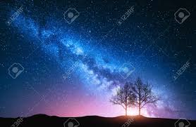 Que esperas para descargarte la app de fondos de pantalla de paisajes en hd para compartir. Cielo Estrellado Con Rosa Via Lactea Y Arboles Paisaje Nocturno Con Arboles Solos En La Colina Contra La Via Lactea De Colores Increible Galaxia Fondo De Naturaleza Con Hermoso Universo Astrofotografia Fotos
