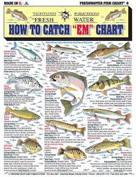 How To Identify Freshwater Species Shad Perch Walleye