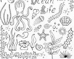 Doodle Marine Life Clipart Sea Life Clip Art Ocean Life Png Eps Fish Vector Under The Sea For Personal And Commercial Use Ocean Drawing Under The Sea Drawings Sea Creatures Drawing