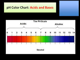 acids and bases ph color chart acids and bases ppt download