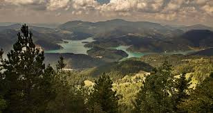 Iako su prve inicijative da se planina tara proglasi za nacionalni park potekle još pedesetih godina prošlog veka, to je učinjeno tek 1981.godine. Nacionalni Park Tara Ñ˜avno PreduzeÑ›e BaÑ˜ina Bashta Pochetna