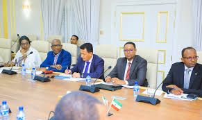 Madaxweynaha Somaliland Oo Qaabiley Wufuud ka Socday Hay'adda  Q/Midoobay.(Sawiro)