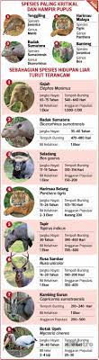 Media pembelajaran mengenal binatang buas berbasis video animasi (bahasa indonesia). Kepentingan Hidupan Liar Di Malaysia Geografi Pdf Nota Ringkas Pt3 Geografi Silver Dtech Computer Centre Academia Edu Anadir A Mis Cuadernos 1 Descargar Archivo Pdf Insertar En Mi Web O