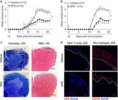 Spermidine life®, our first product, was launched in 2019 in austria. Spermidine Alleviates Experimental Autoimmune Encephalomyelitis Through Inducing Inhibitory Macrophages Cell Death Differentiation