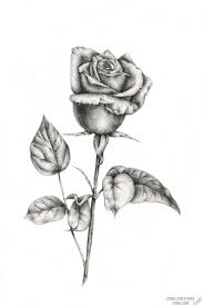 Los dibujos para colorear dibujos de rosas para colorear ramos jarrones corazones. Dibujos De Rosas 190 Lindas Y A Lapiz