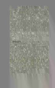 Image result for Pilea sublucens