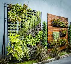 The plants have shallow roots because of limited growing space. Vertical Gardens Are The Key To Self Sufficiency In The City