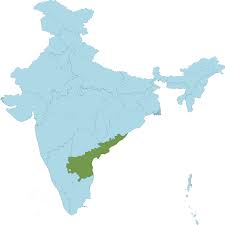 Image result for Psilotrichum sericeum