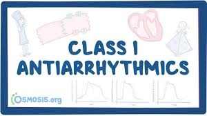 Image result for Sodium Channel Blocker