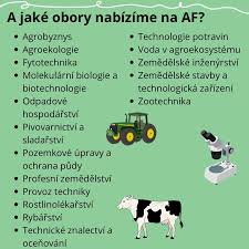 Image result for květopas jahodníkový