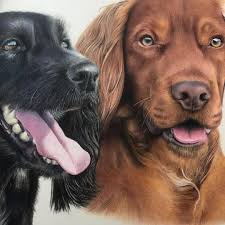 Bonny Snowdon On Instagram Just His Ear To Finish And Then Onto Spaniel Number 3 And She S The Daughter Of These Two Cat Portraits Working Cocker Dog Art