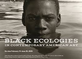 Anna Wingfield's Instagram, Twitter & Facebook