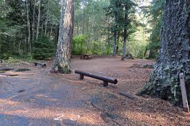 If adams fork campground is full, check out my map to find other campgrounds in the area. Adams Fork Campground Gifford Pinchot National Forest Washington