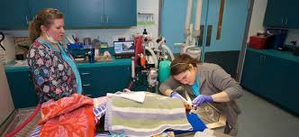 All services are available at no cost. Susan M Markel Veterinary Hospital Richmond Spca