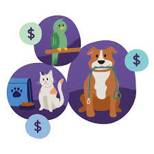 Exclusive cat care provided in los angeles, ca. The Ultimate Guide To Setting Your Pet Sitting And Dog Walking Rates For 2021 Time To Pet