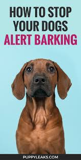 Check poison symptoms, diagnosis & treatments. The Nifty Trick That Stopped My Dogs Alert Barking Puppy Leaks