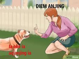 I Ini Stray Kids Cartoon Jokes Gambar Lucu Ilustrasi Lucu