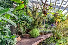 Karlsruhe Botanische Garten In Karlsruhe