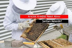 Her bankanın uyguladığı koşullar farklı olmakla beraber genelde tüm bankaların ortak olarak aramış oldukları konut kredisi şartları da bulunmaktadır. Ziraat Bankasi Aricilik Kredisi 84 Ay Vade Devlet Destegi