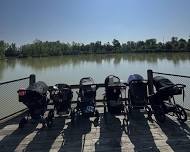 Hot Mom Walk